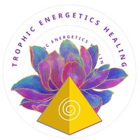 trophicenergetic